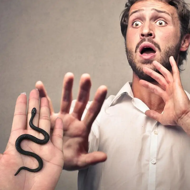 Черная поддельная резиновая змея для розыгрыша - Фотография_3