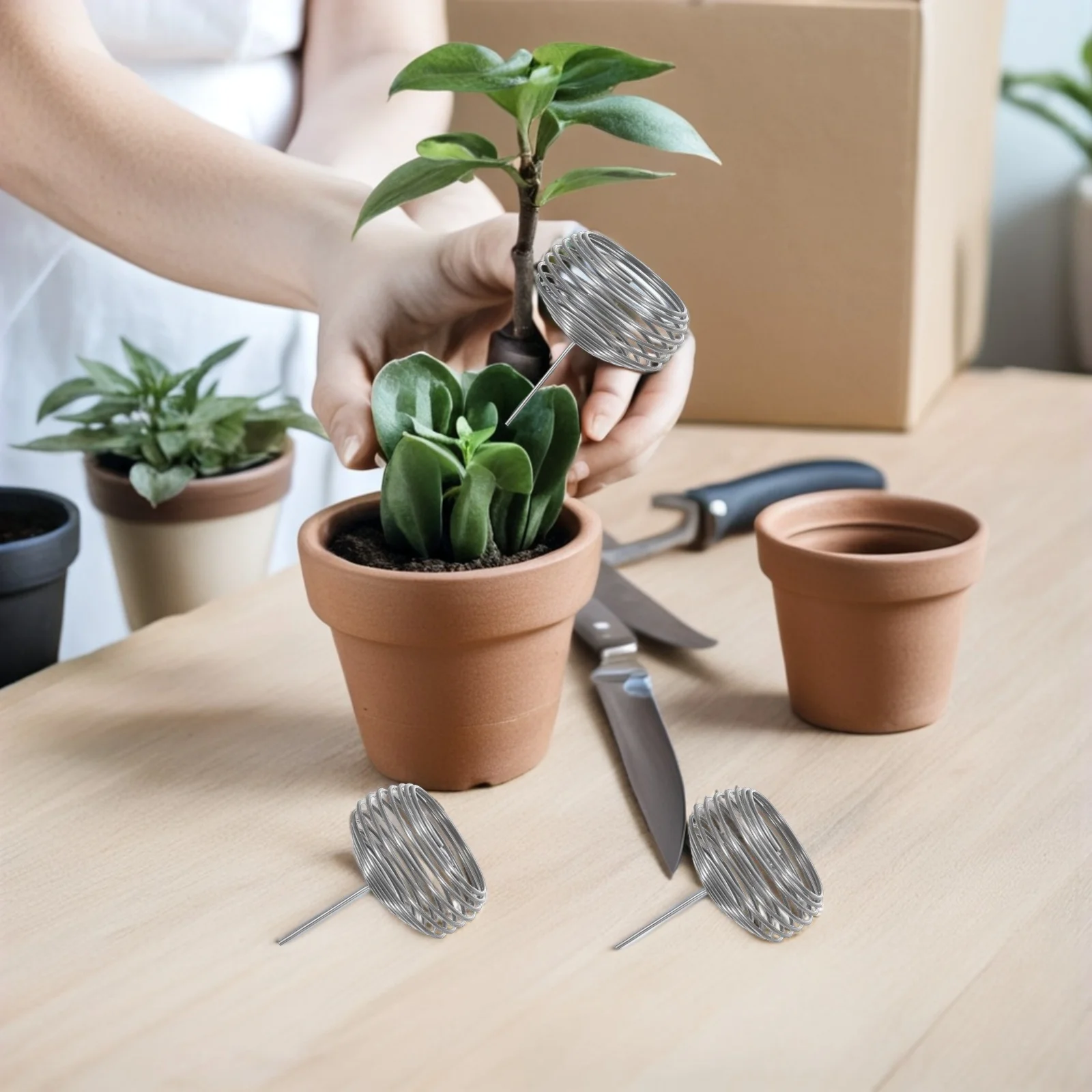 Корзина для удобрений из нержавеющей стали для бонсай - Фотография_4