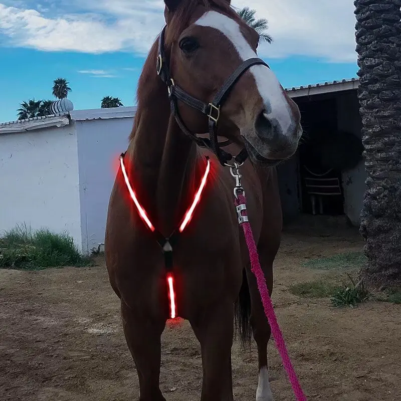 Разноцветный нагрудный ремень для лошади - Фотография_6