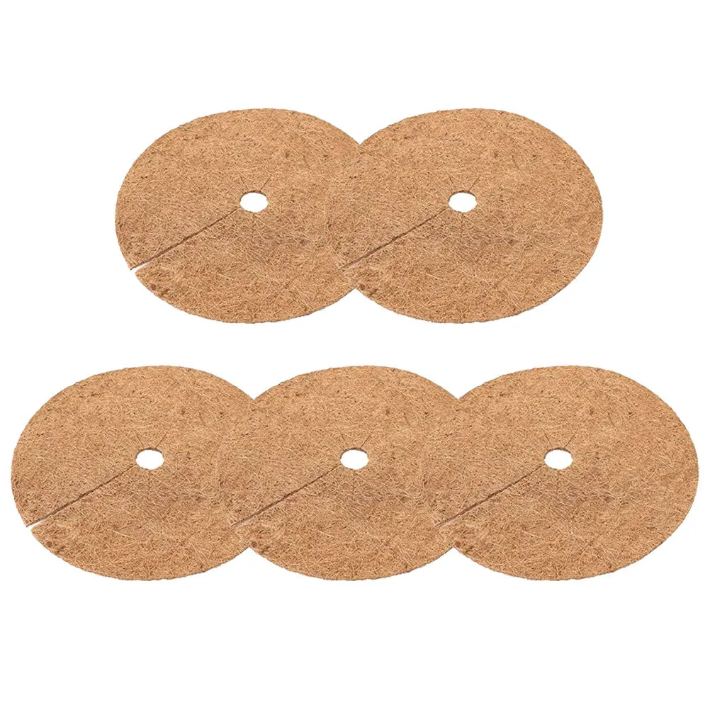 Кольцо с кокосовым деревом - Фотография_6