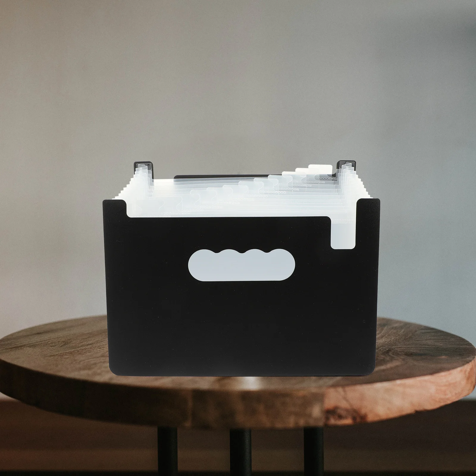 Папка для файлов - Фотография_3