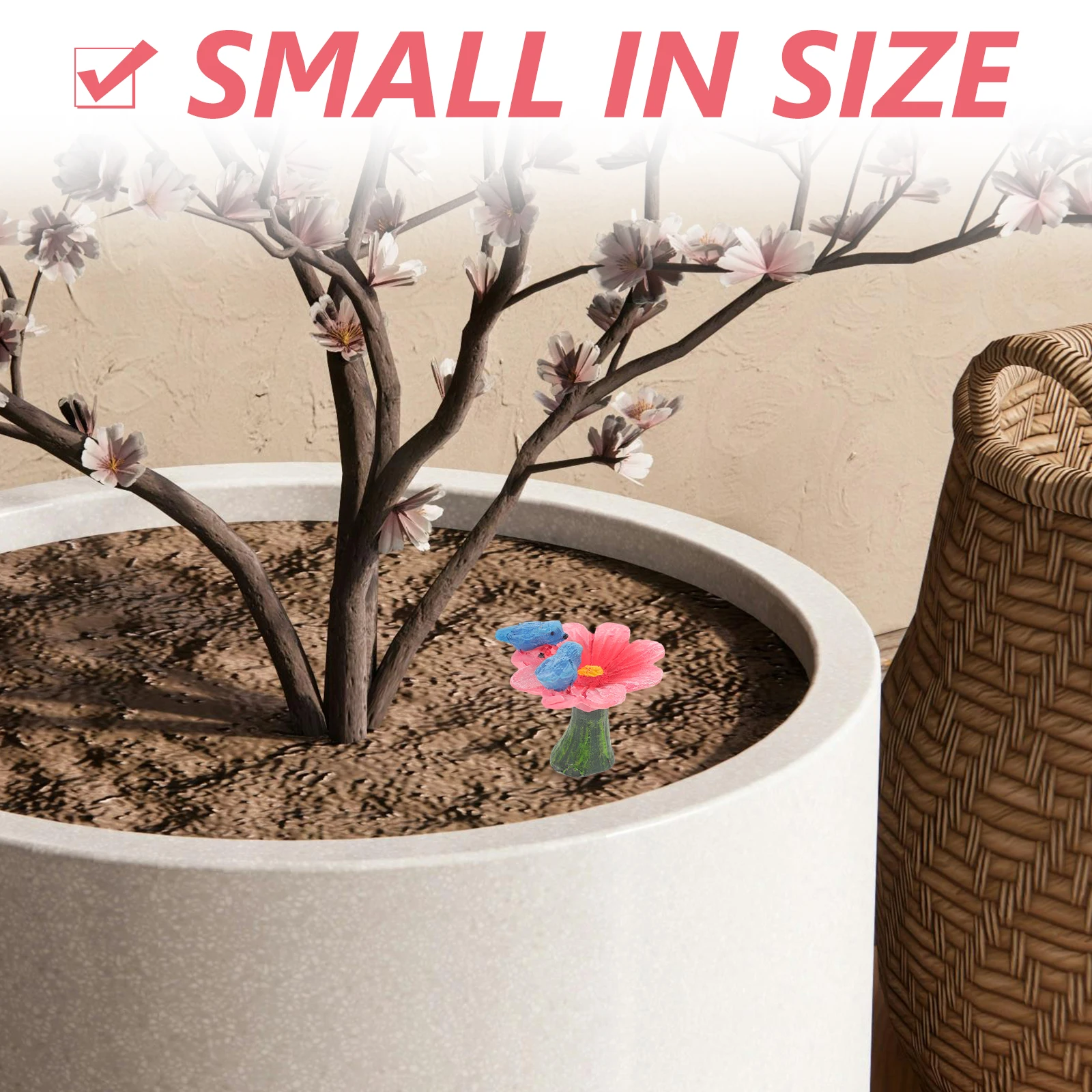 Фея эльф сочный горшок растение - Фотография_2