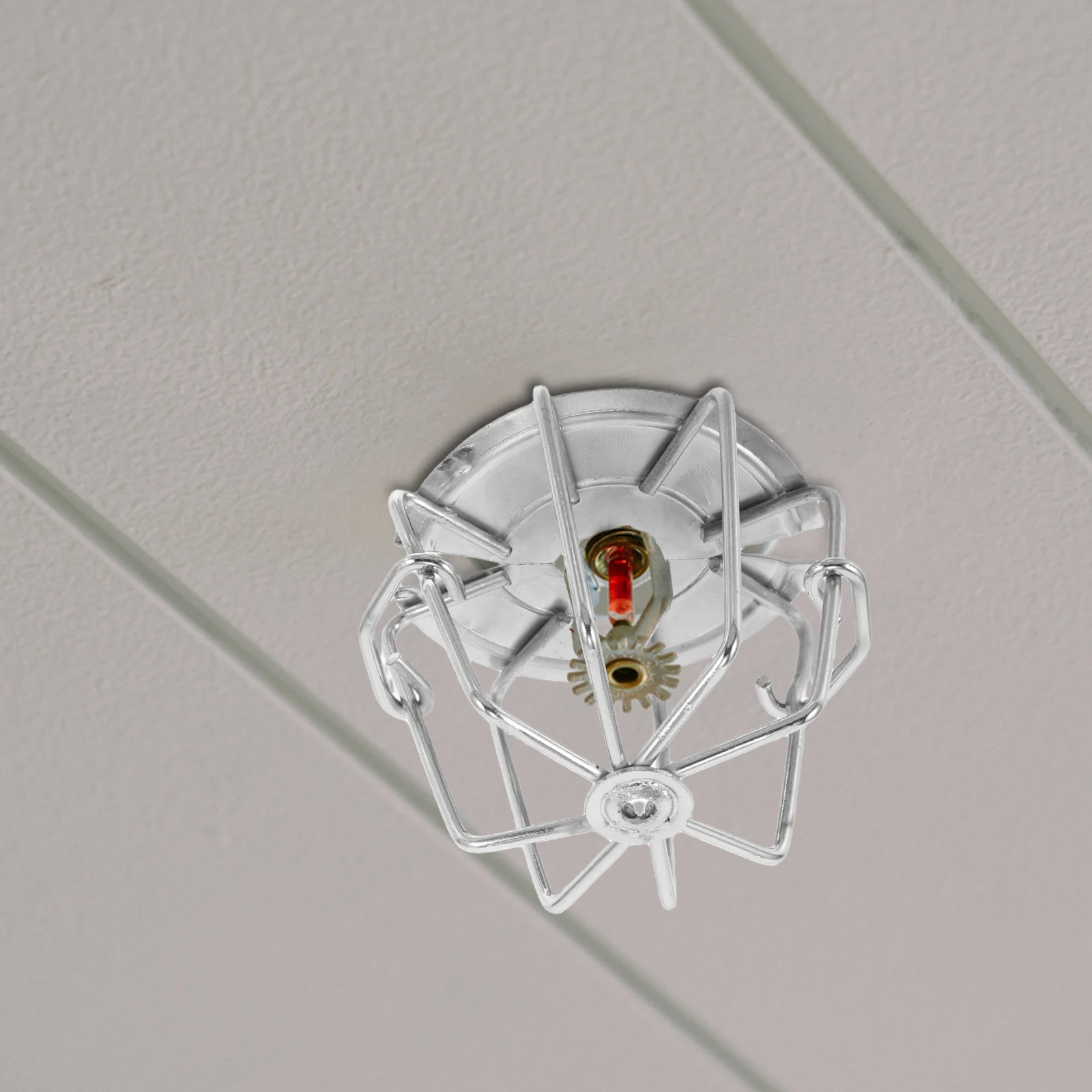 Защита головки пожарных спринклеров