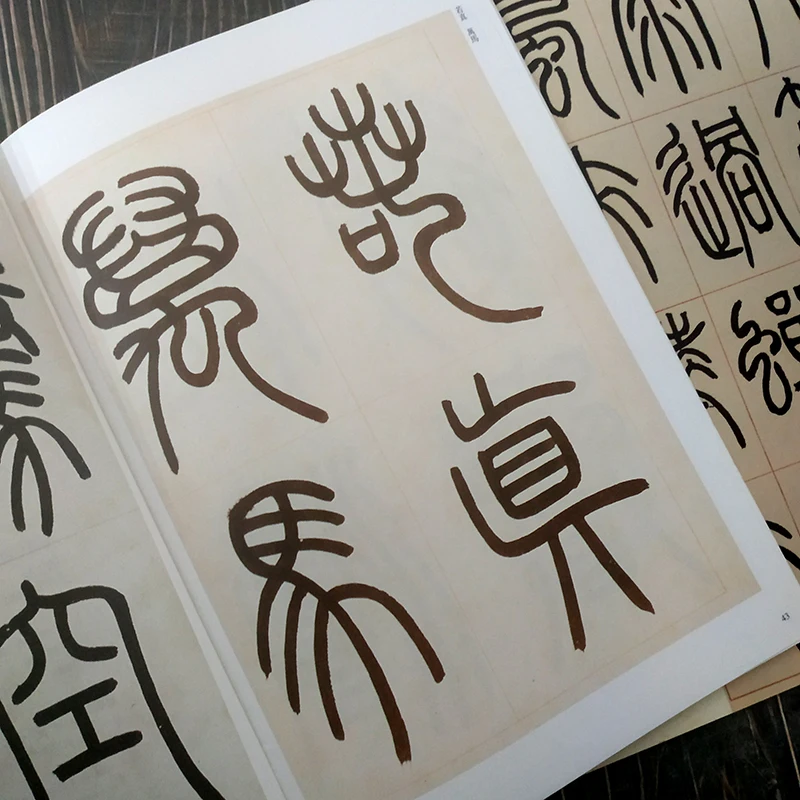 Книга для каллиграфии deng shiru seal - Фотография_3