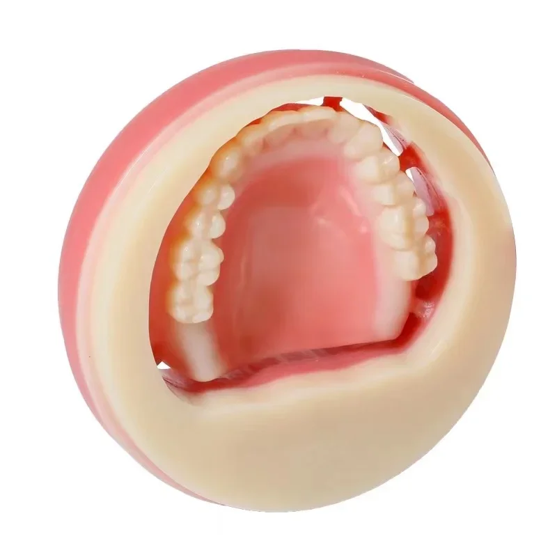 Используется в временных коронях и мозах denta - Фотография_2