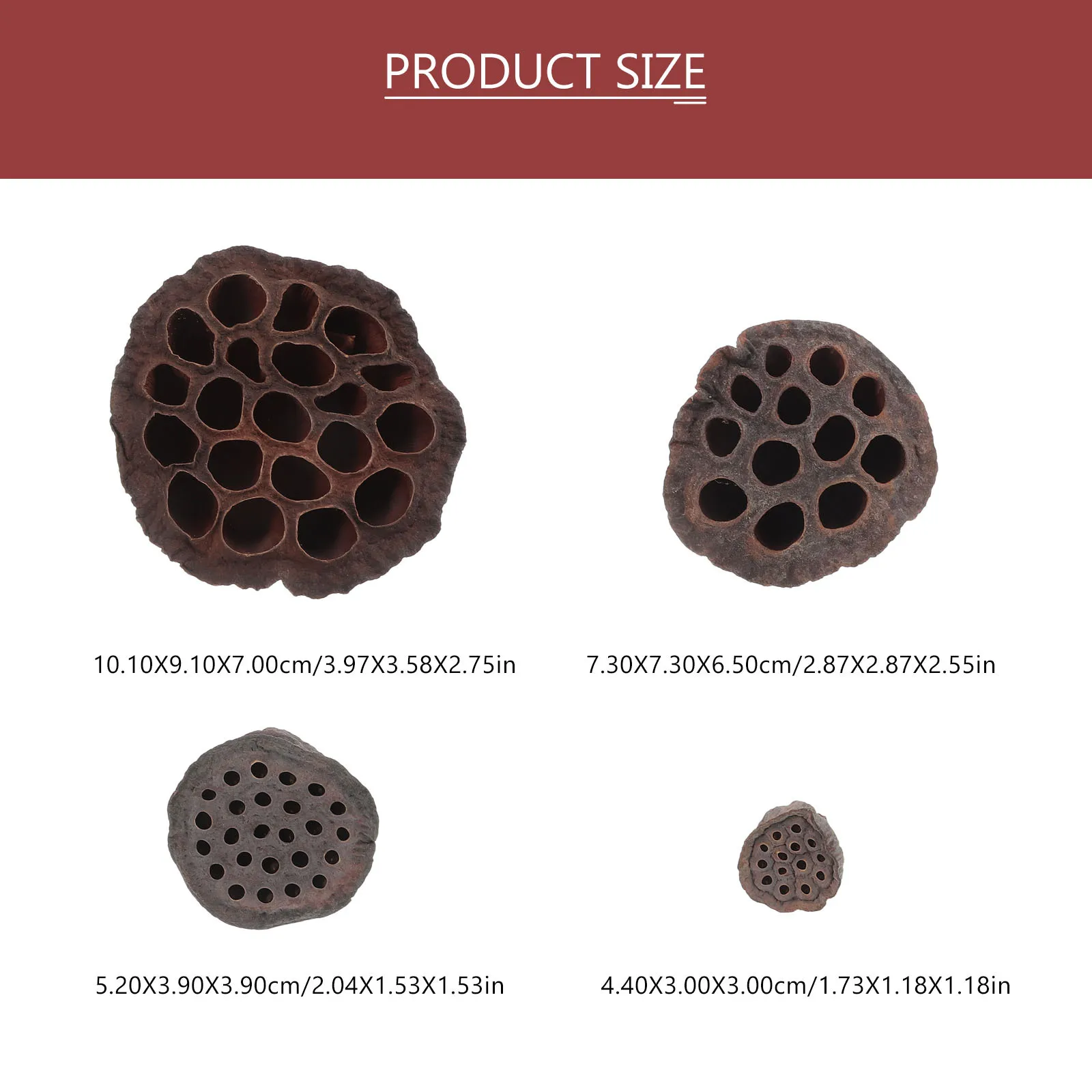 Натуральные сушеные стручки лотоса - Фотография_3