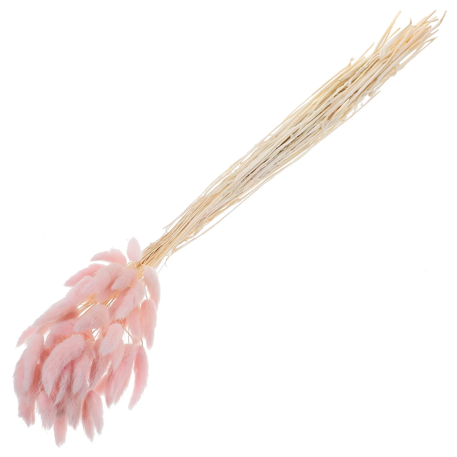 Хвост кролика, натуральные растения - Фотография_4