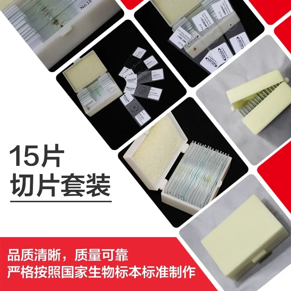 Специализированные сечения исследовательских растений и животных - Фотография_4