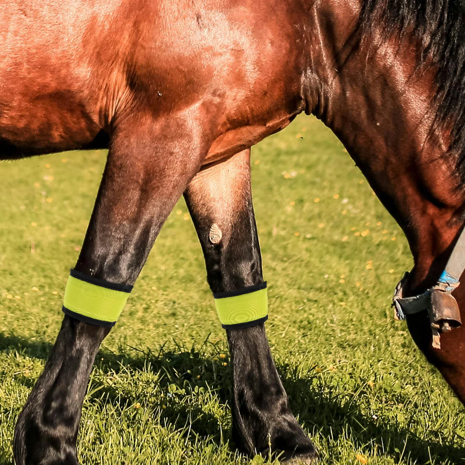 Леггинсы с ремешком на щиколотке для лошади - Фотография_4