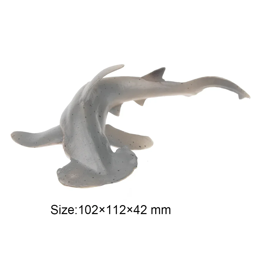 Toymany моделирование bonnethead - Фотография_3