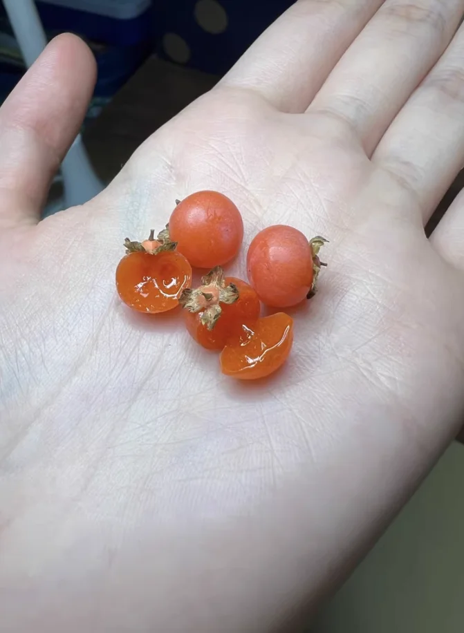 Кукольный домик ручной работы с фруктами и овощами - Фотография_3
