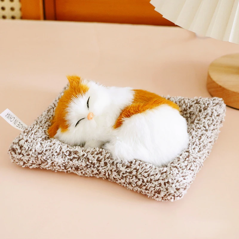 Маленький бамбуковый угольный кот - Фотография_4