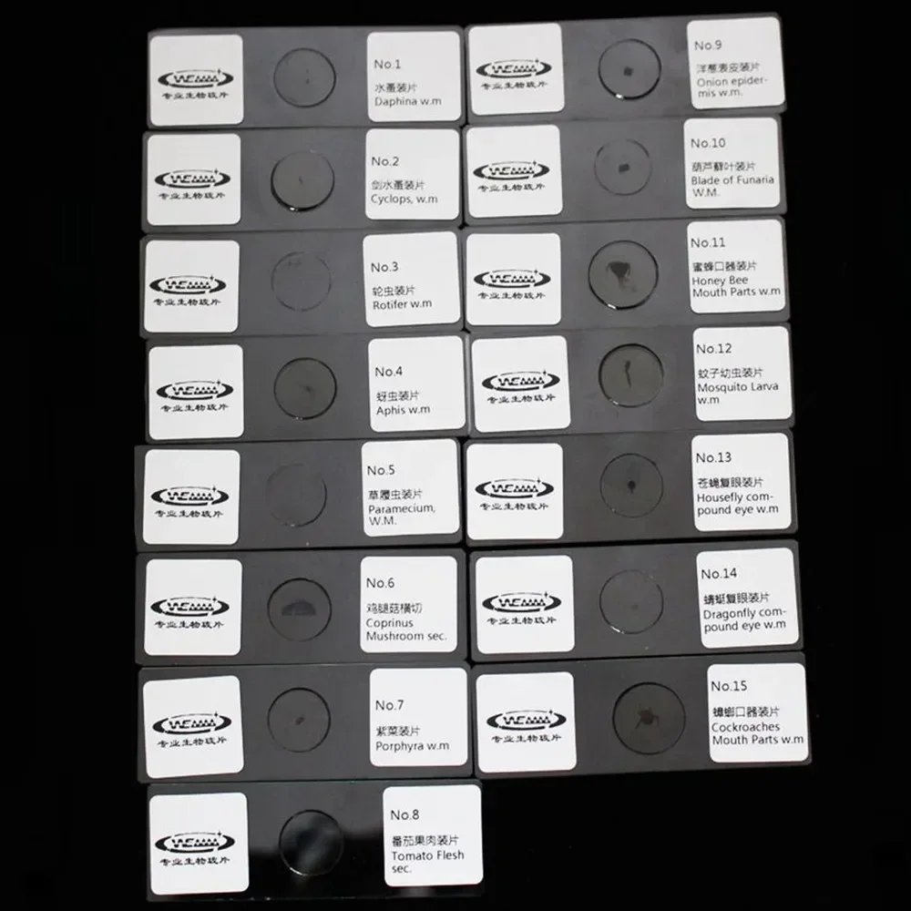 Специализированные сечения исследовательских растений и животных - Фотография_3