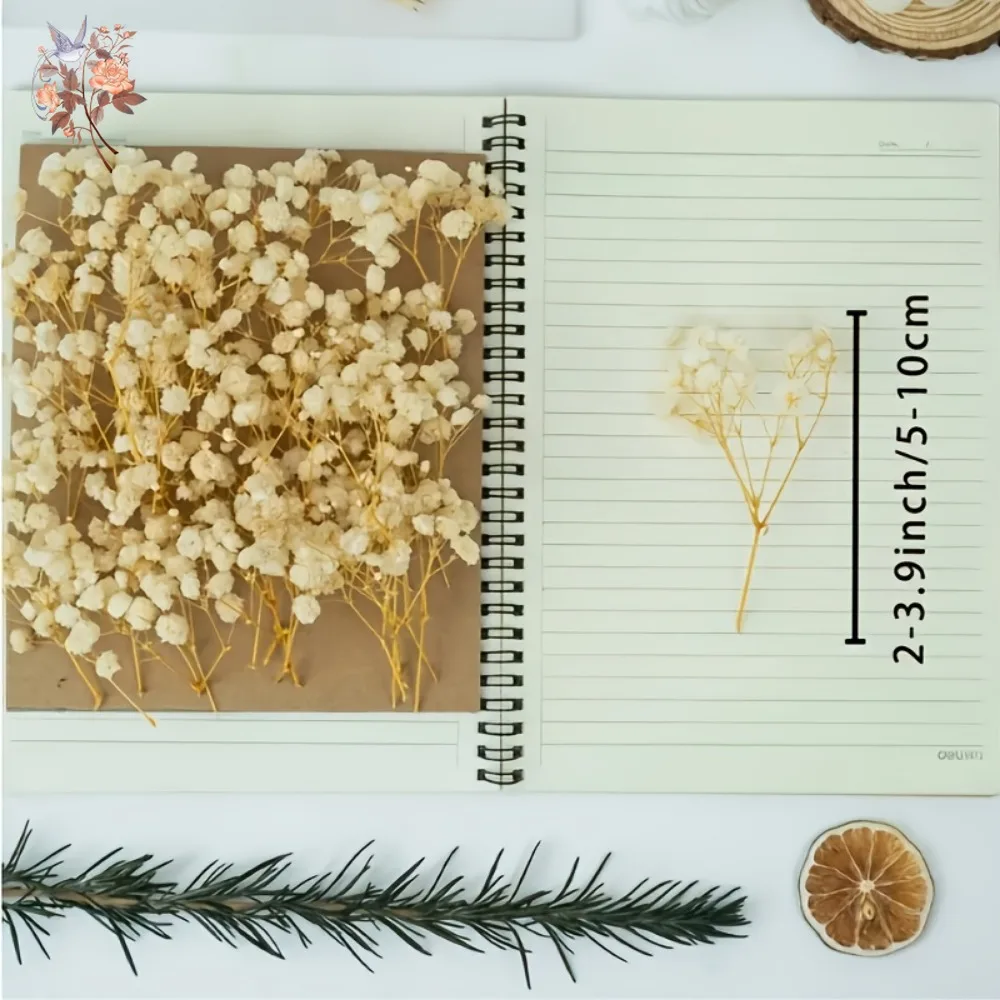 Мини-сушеные детские цветы для рукоделия из смолы - Фотография_5