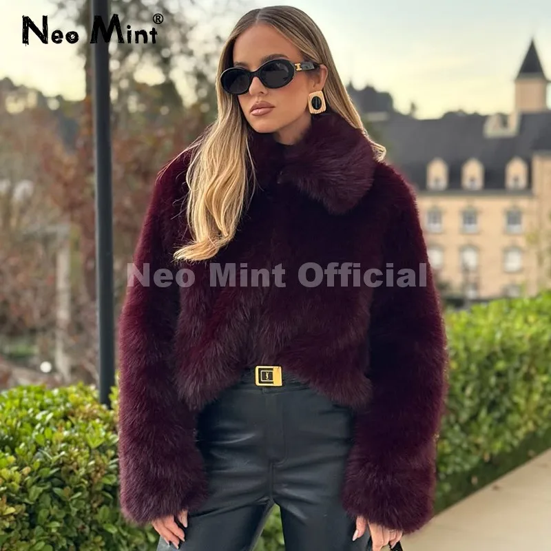 Neo mint ins blogger