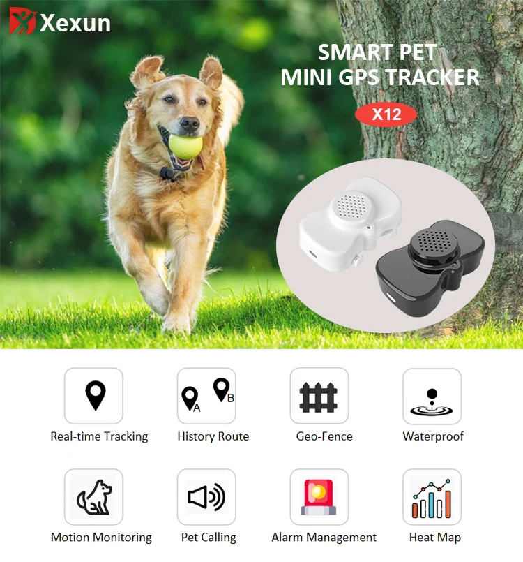 Xexun x12 трекер для домашних животных