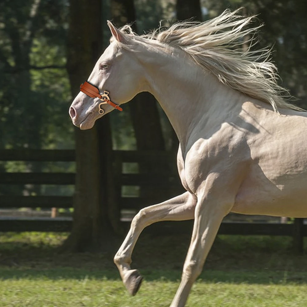 Коричневая кожаная утка для лошади с мягкой подкладкой
