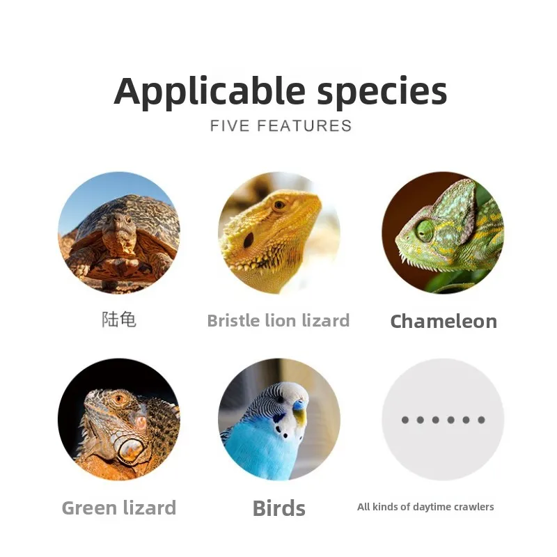 Лампа от солнца reptizoo для рептилий-uva + uvb - Фотография_6