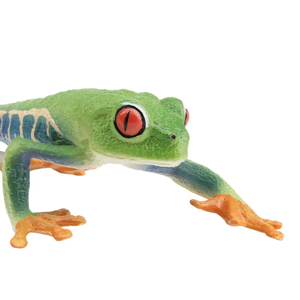 Toymany моделирование красноглазая - Фотография_6