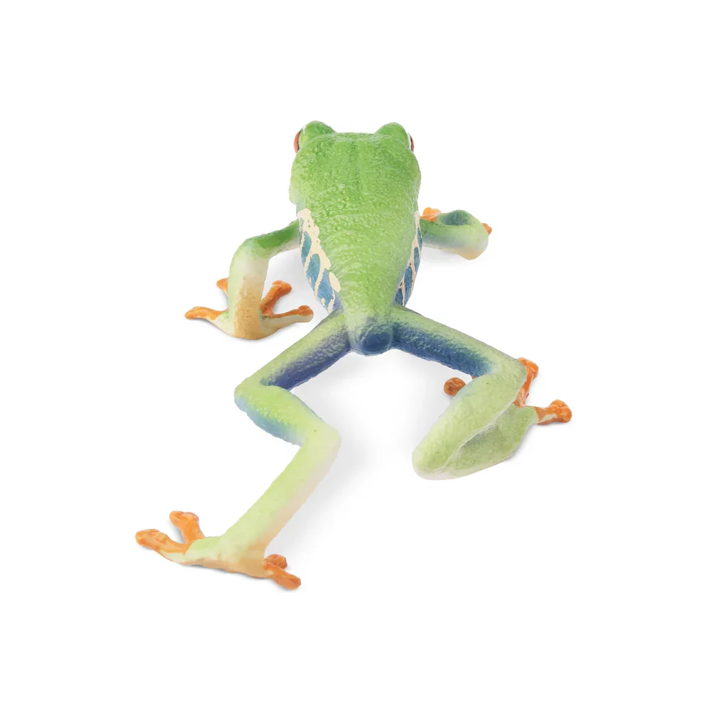Toymany моделирование красноглазая - Фотография_4