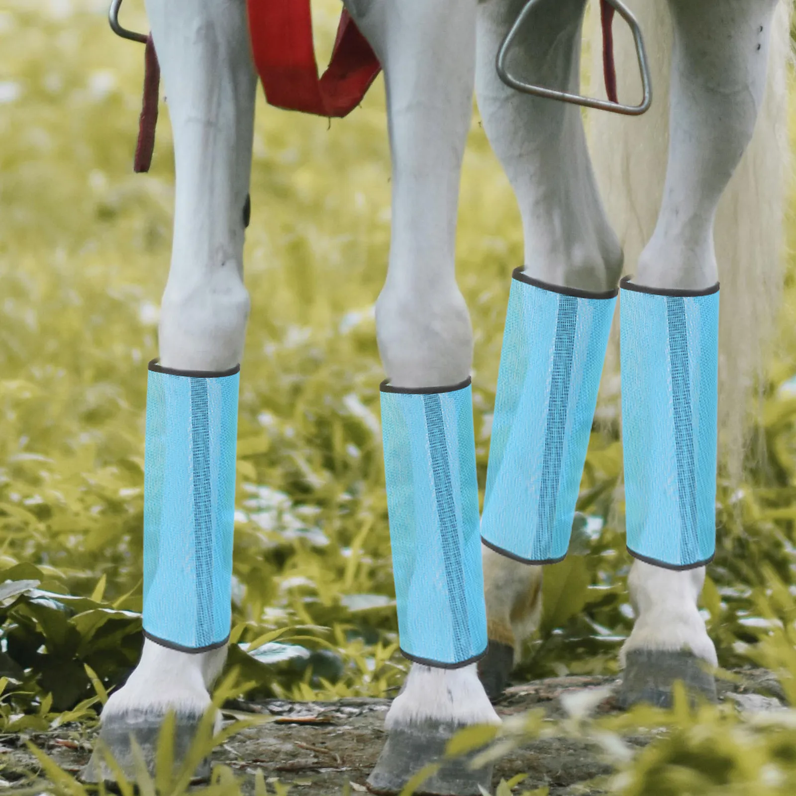 Аксессуары для ног лошади - Фотография_3