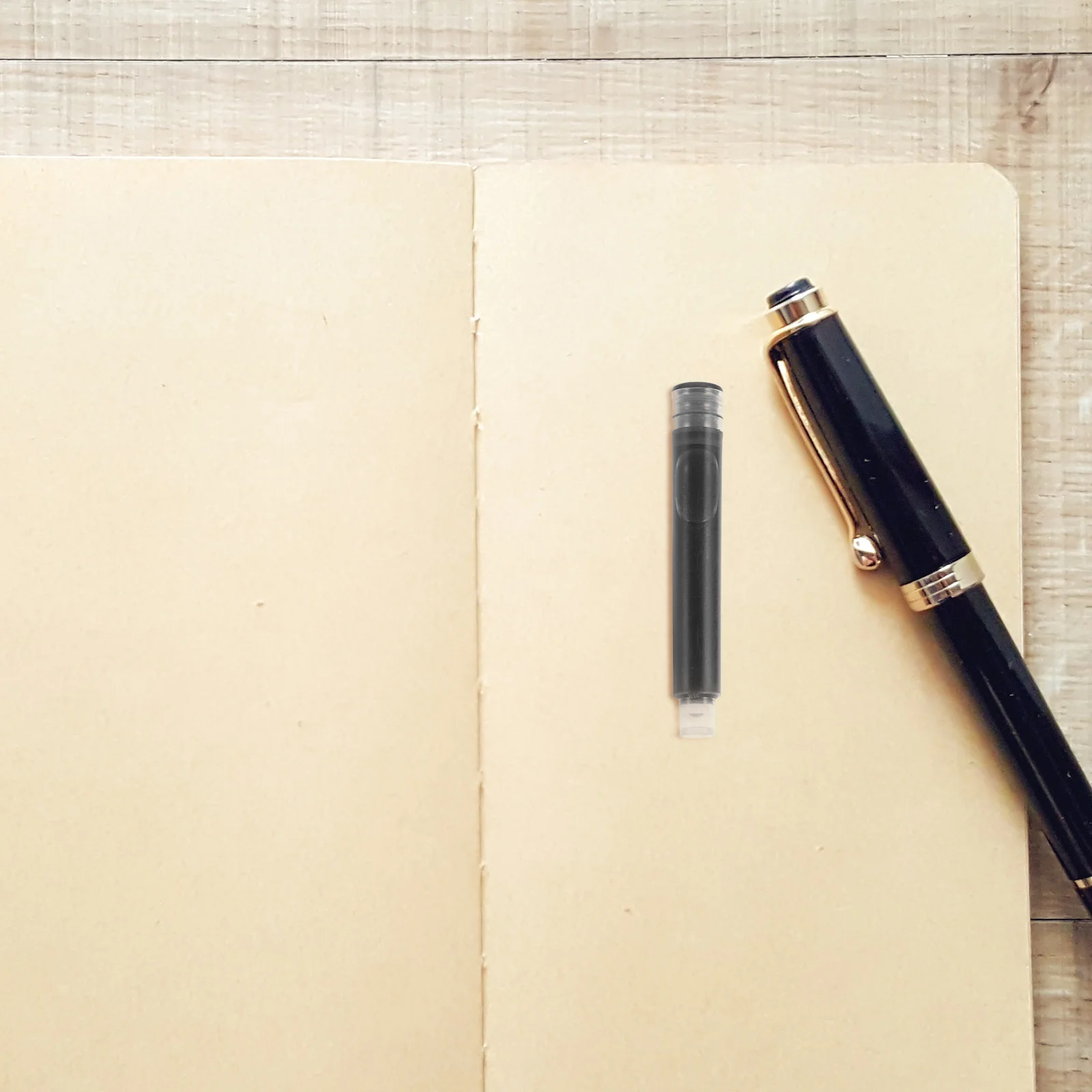 Легкие компактные картриджи с перьевой ручкой - Фотография_4