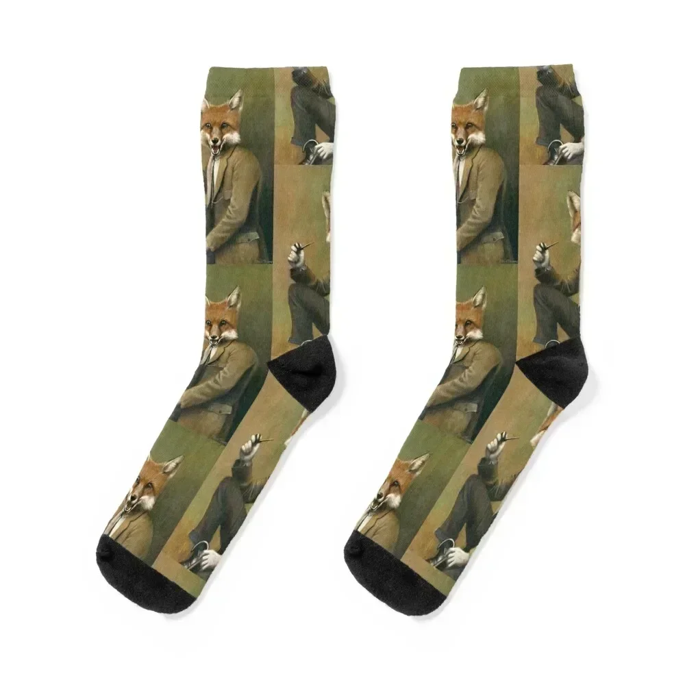 Винтажные носки mr fox
