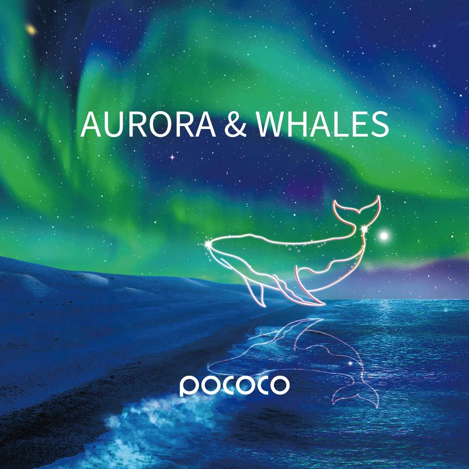 Диски aurora и deep sea-диски для проектора pococo galaxy - Фотография_2