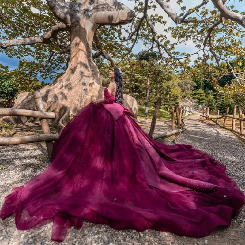 Красное вино, платья quinceanera по индивидуальному заказу - Фотография_6