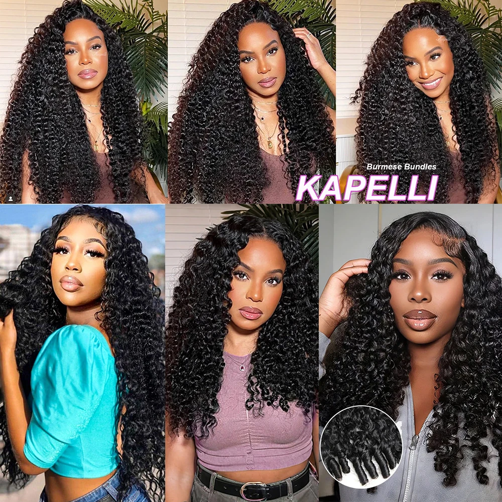 Бирманские вьющиеся пучки человеческих - Фотография_6