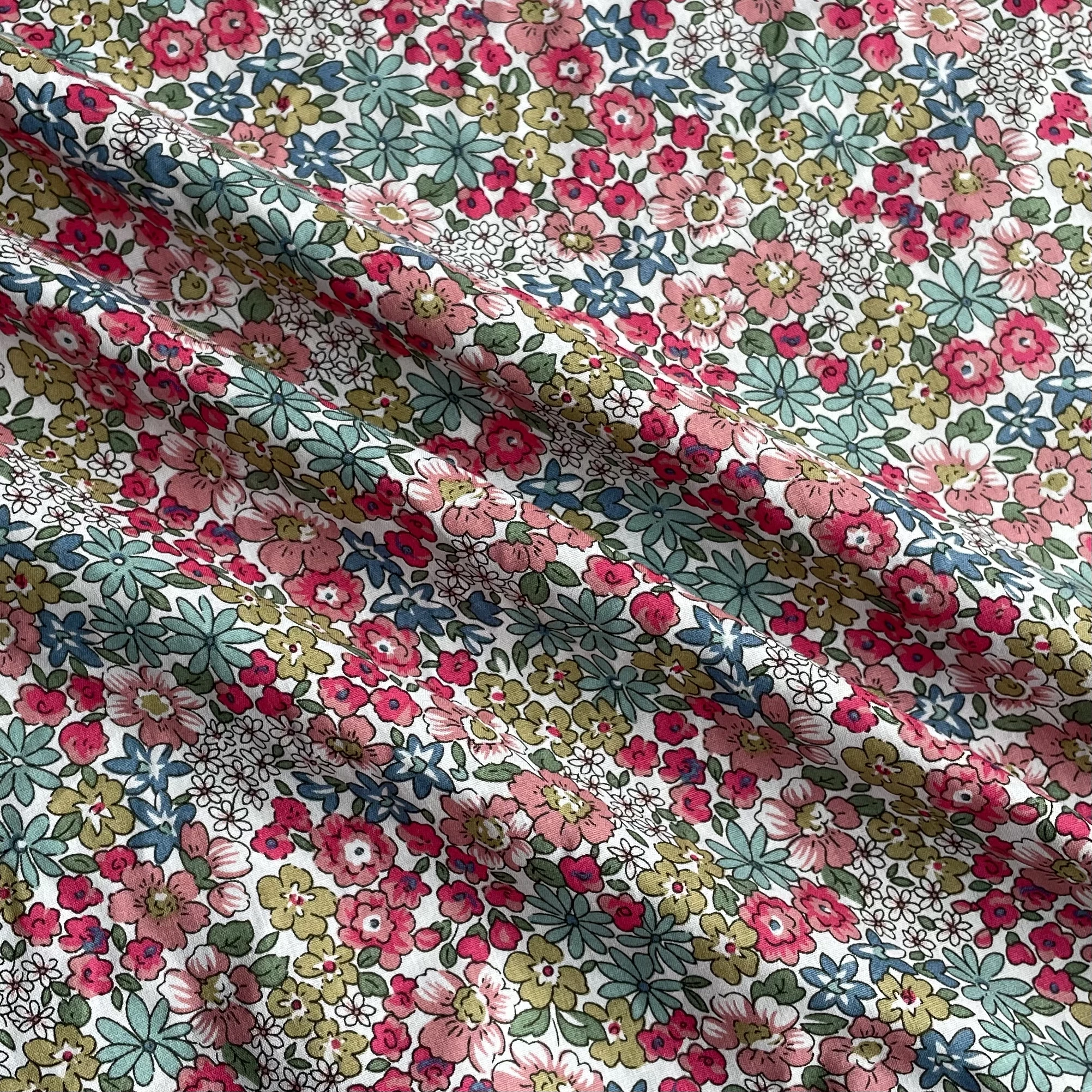 Libby розовые цветочные растения - Фотография_2