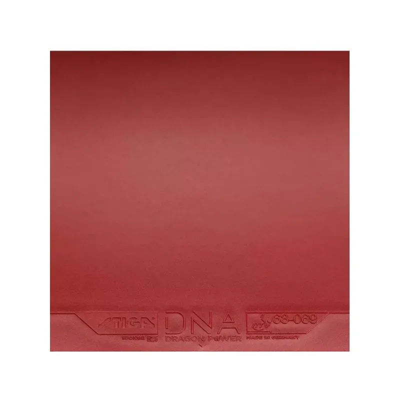 Stiga dna golden dragon dragon - Фотография_3