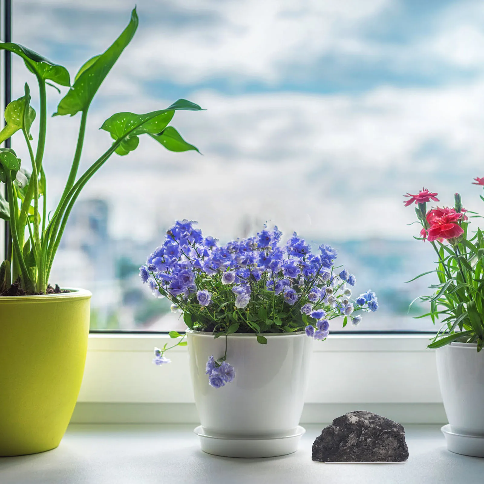 Чернильный цветной камень - Фотография_5