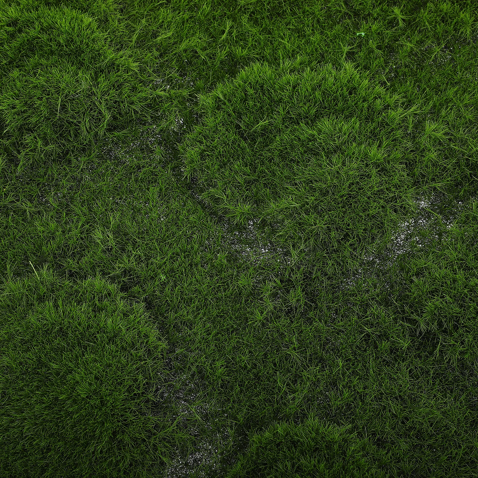 Коврик из искусственного мха - Фотография_4