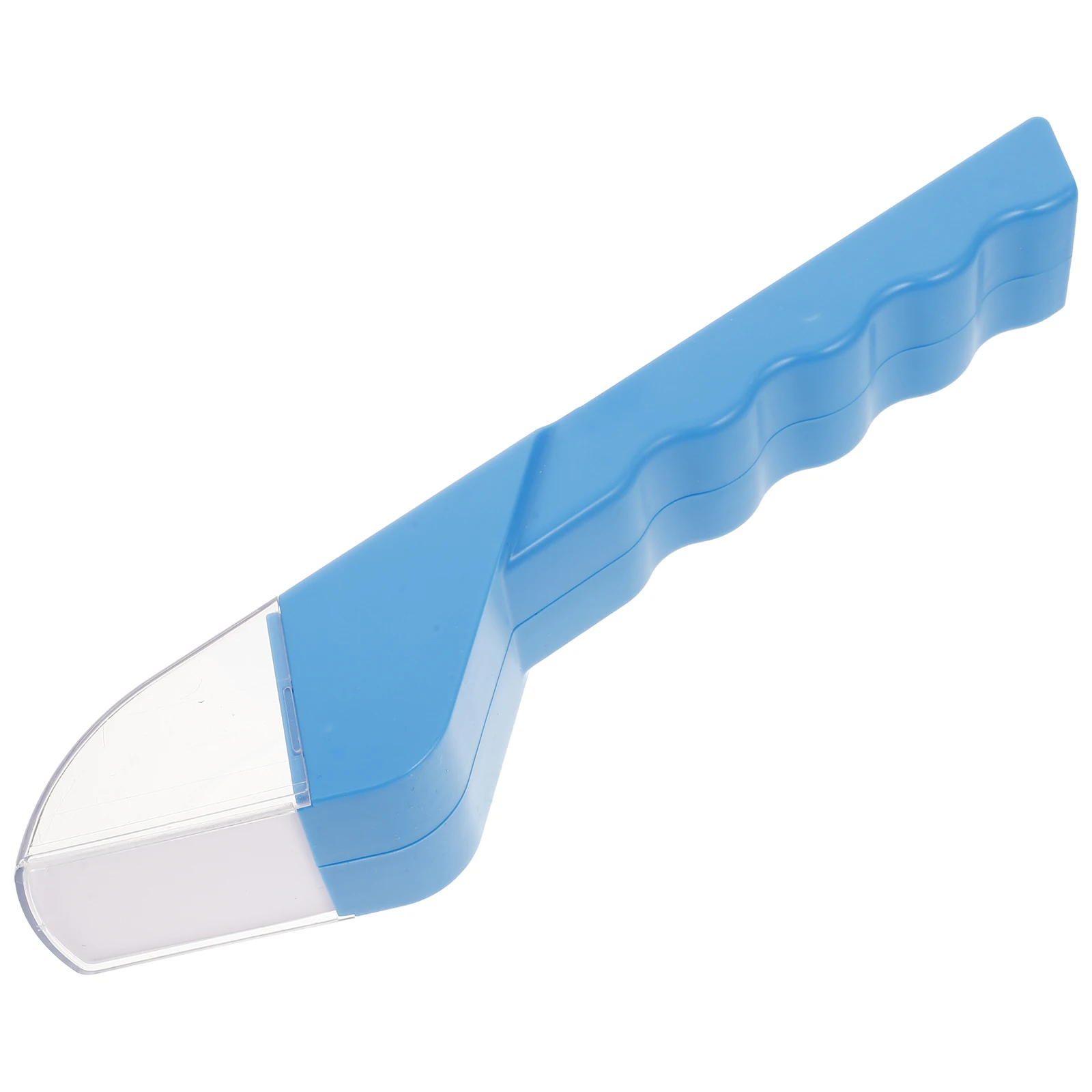 Ловец насекомых, ловец пауков, - Фотография_2