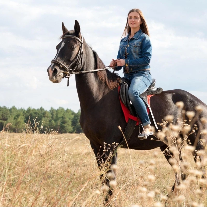 Шпоры в стиле вестерн - Фотография_2