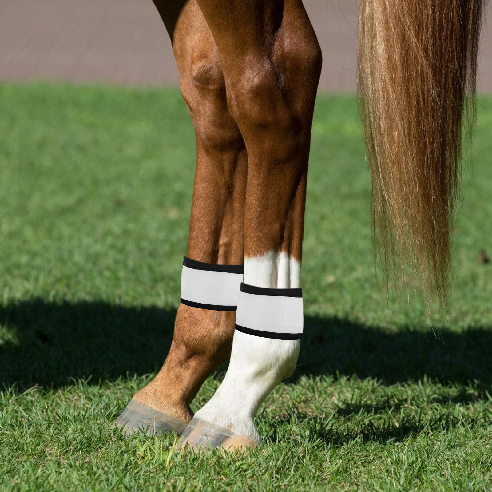 Светодиодные ленты для ног лошади - Фотография_4