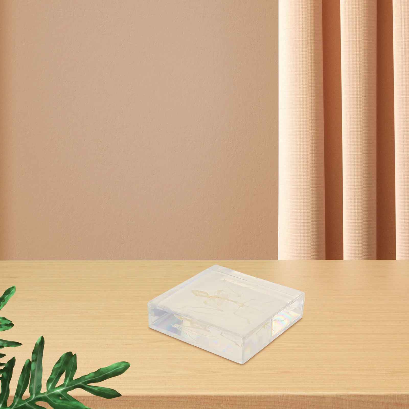 Дисплей летучей мыши: настоящий образец животного