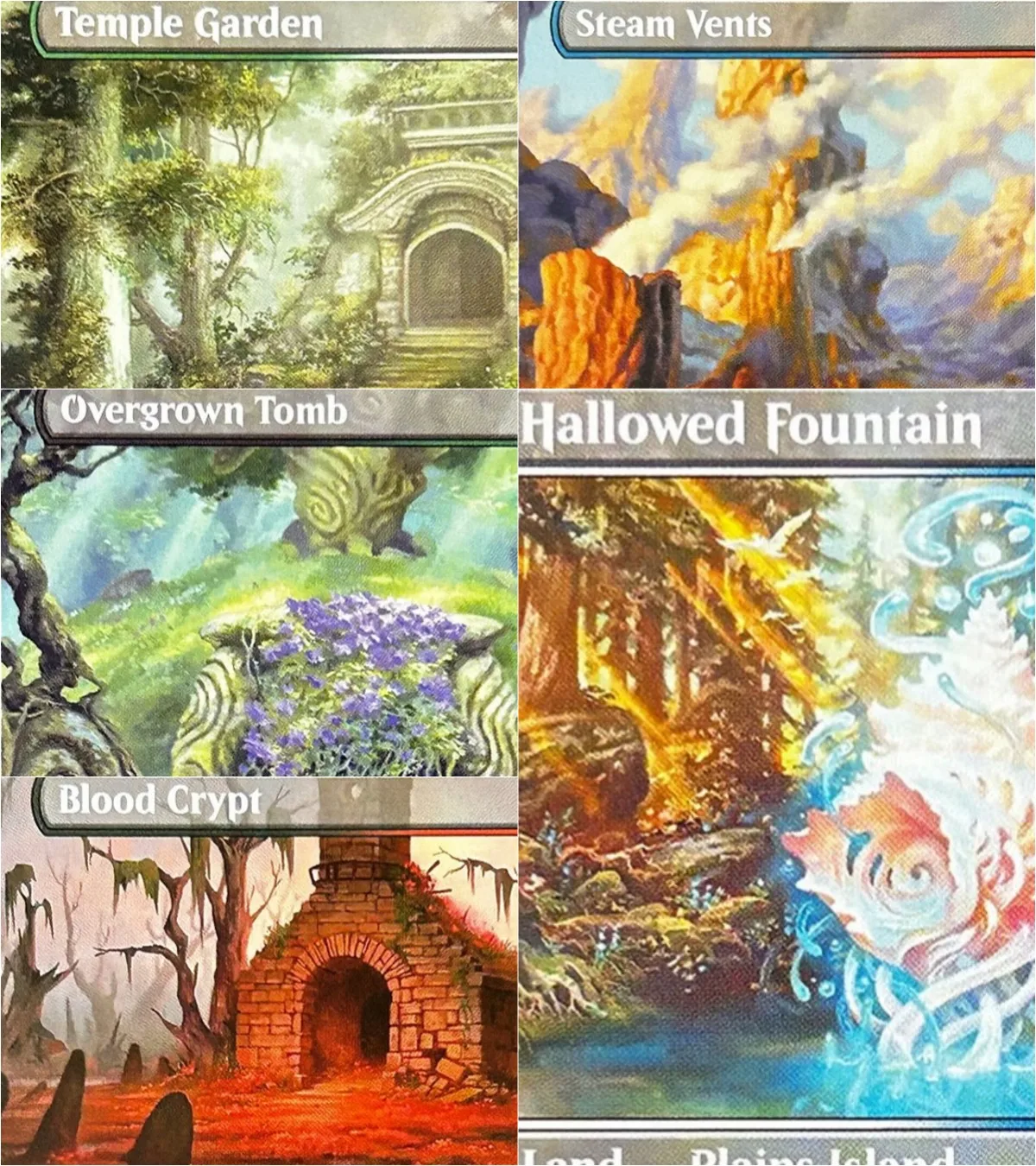 Shocklands lorwyn holo tcg magic