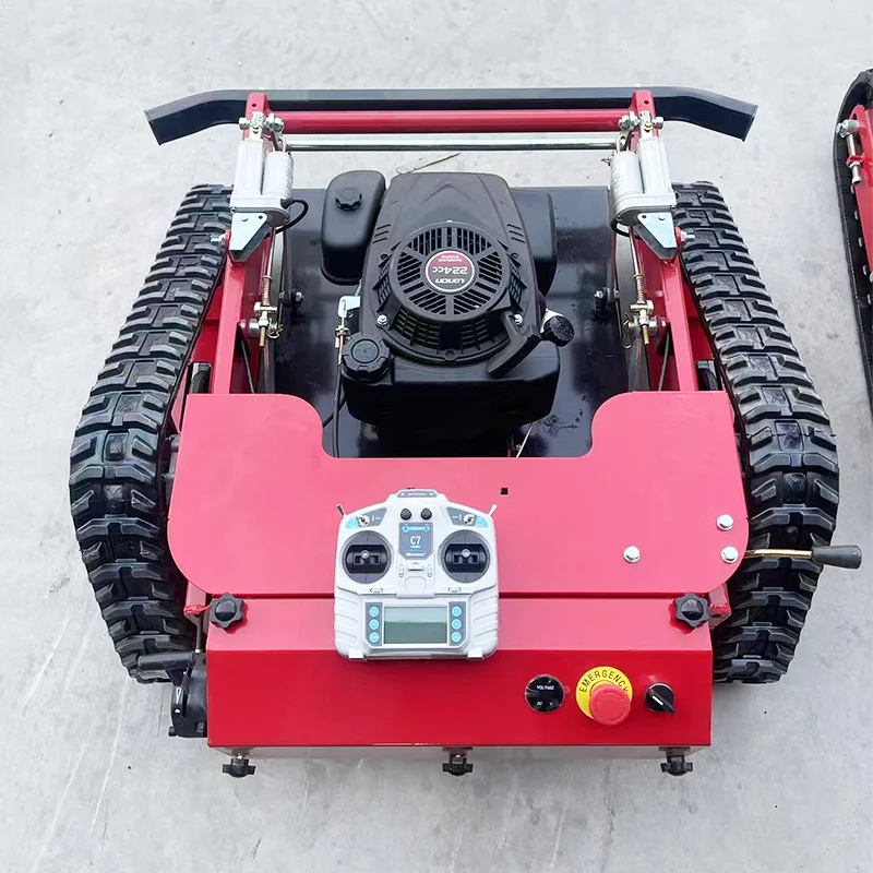 Домашний робот по индивидуальному заказу с дистанционным мониторингом - Фотография_4