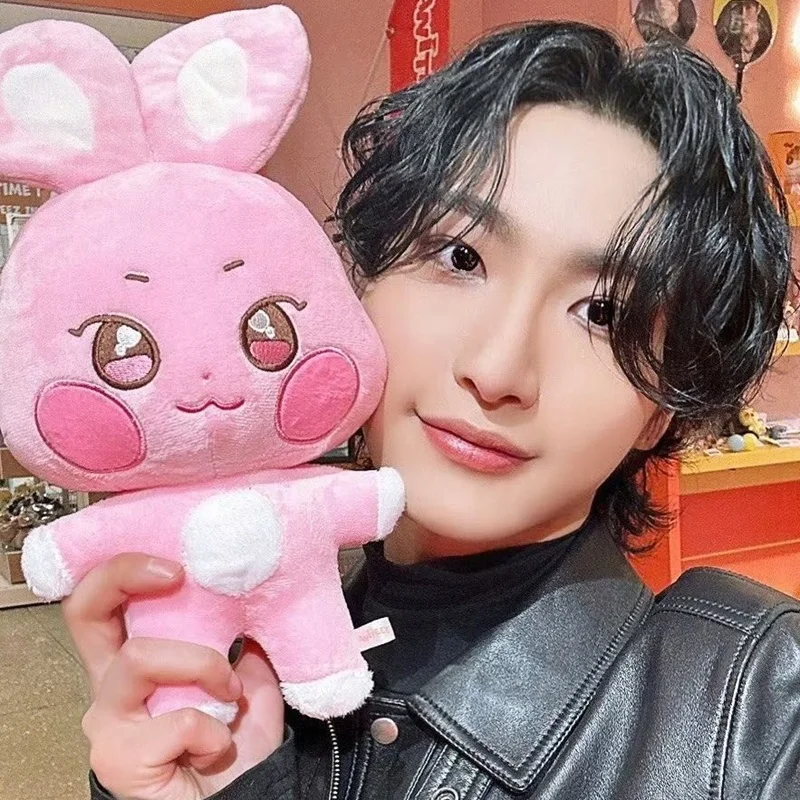 Kpop aniteez kawaii мягкие игрушки - Фотография_2