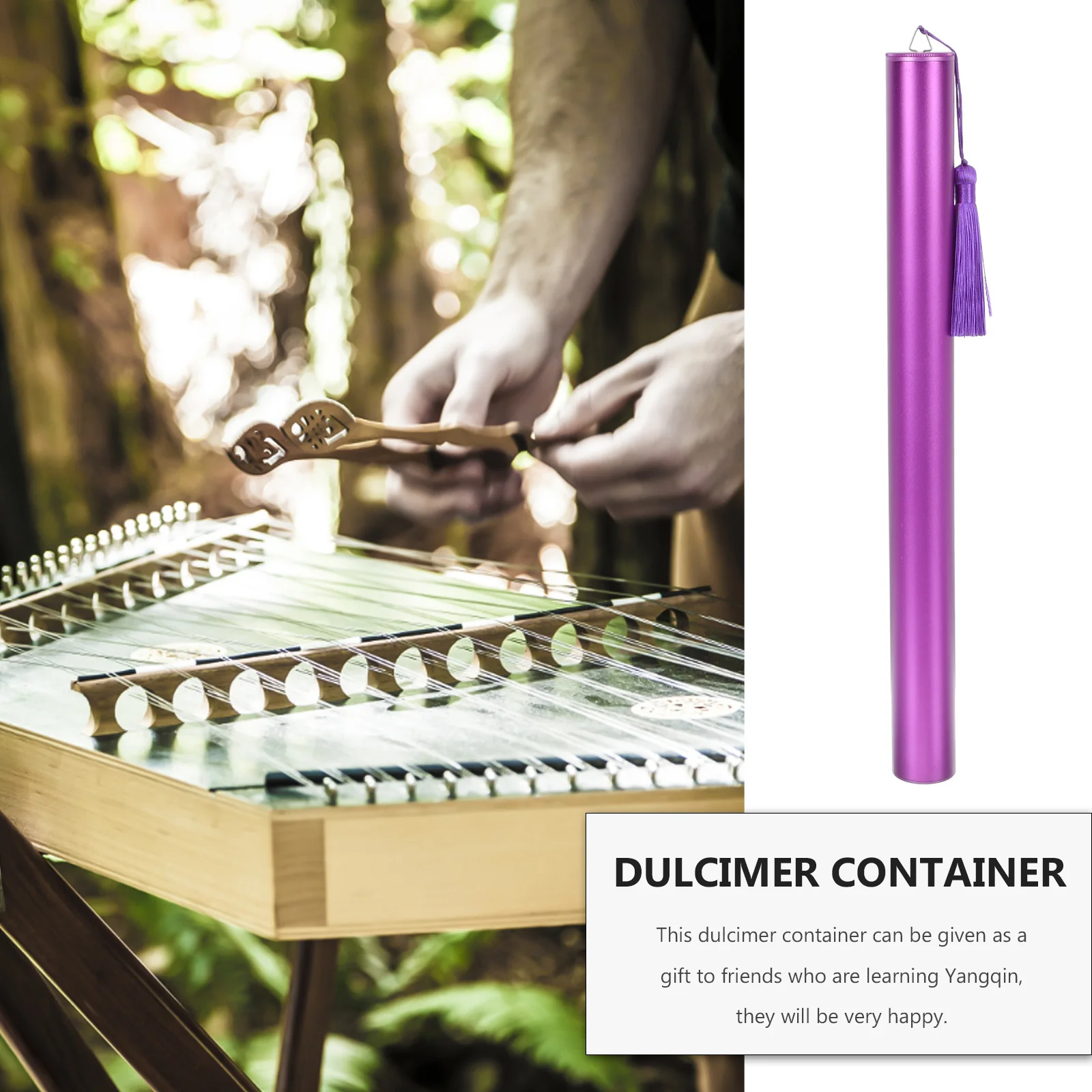 Контейнер для хранения dulcimer - Фотография_4