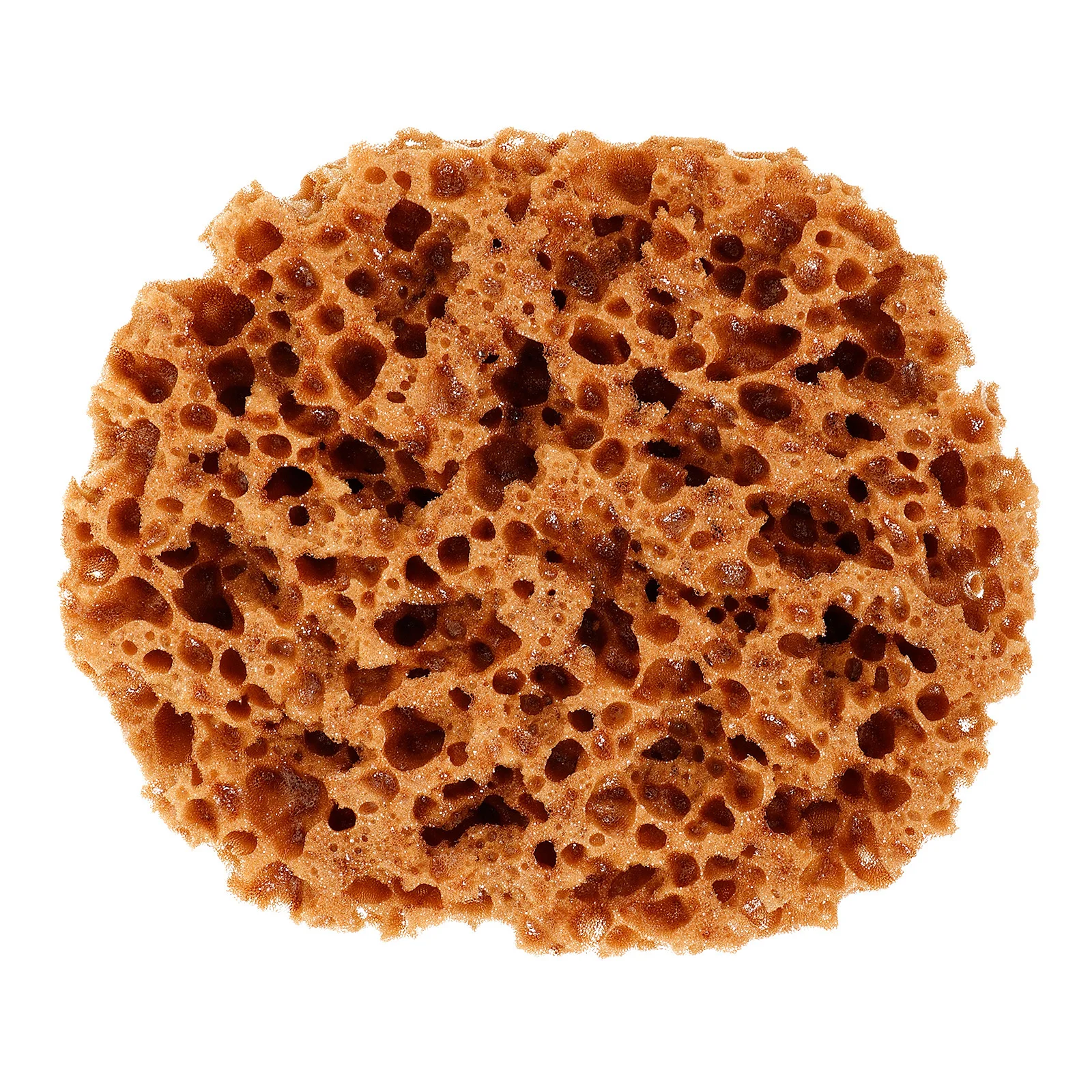 Губки для рисования акриловой краски - Фотография_4