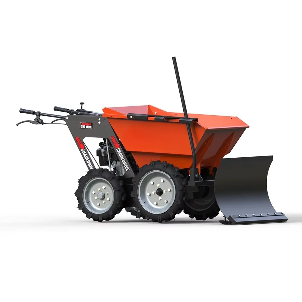 Индивидуальный грузовик 4wd с нагрузкой 250 кг - Фотография_5