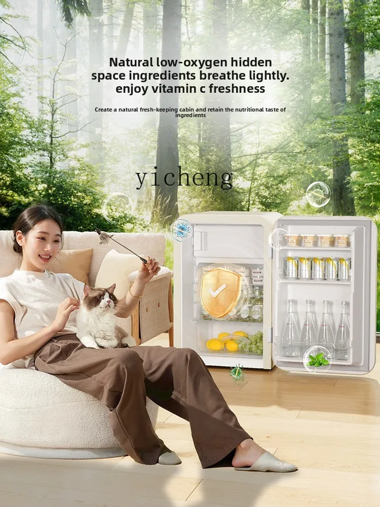 Xl небольшой холодильник в стиле ретро для дома - Фотография_5