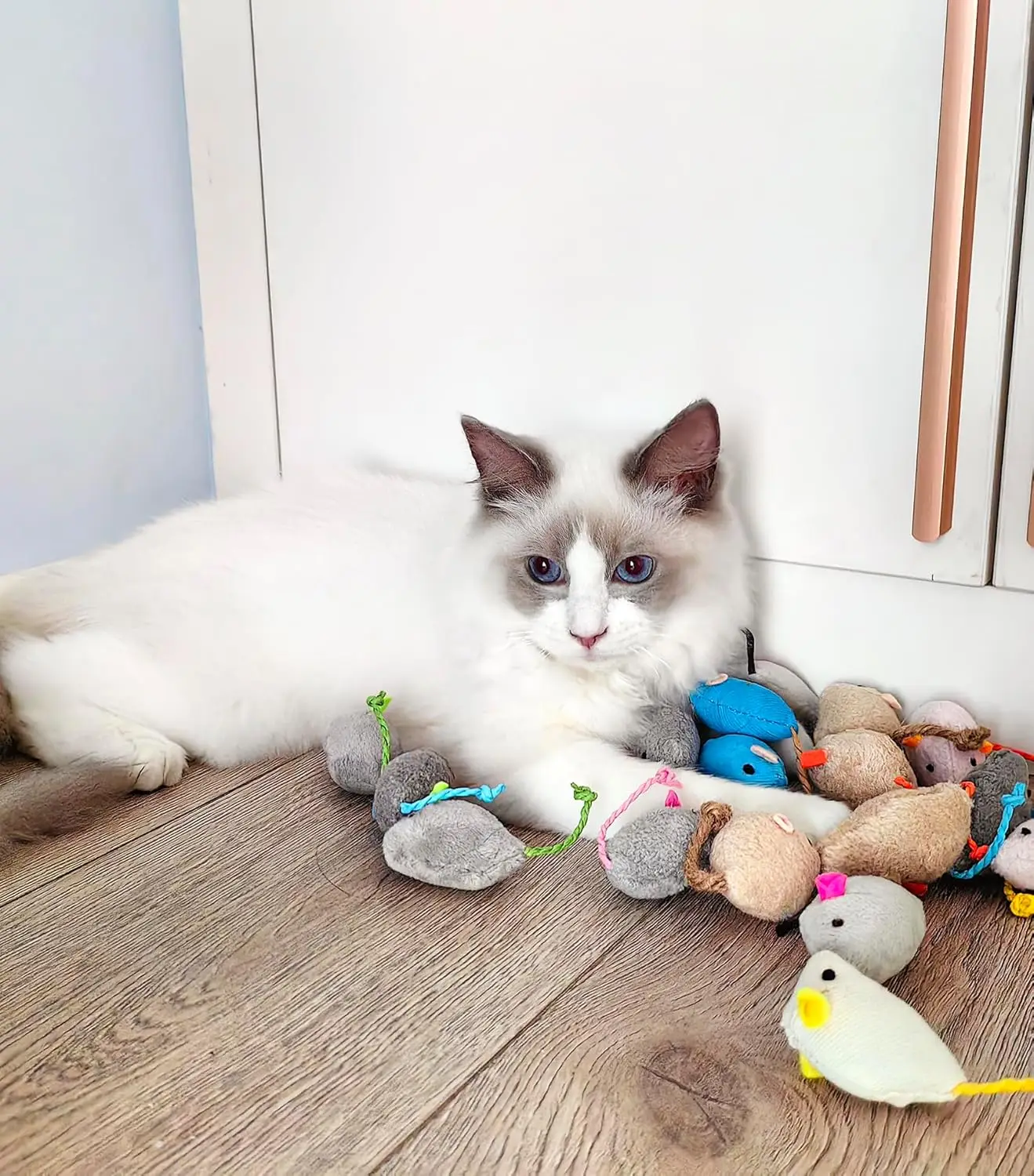 Погремушки, игрушки для кошачьей мыши - Фотография_4