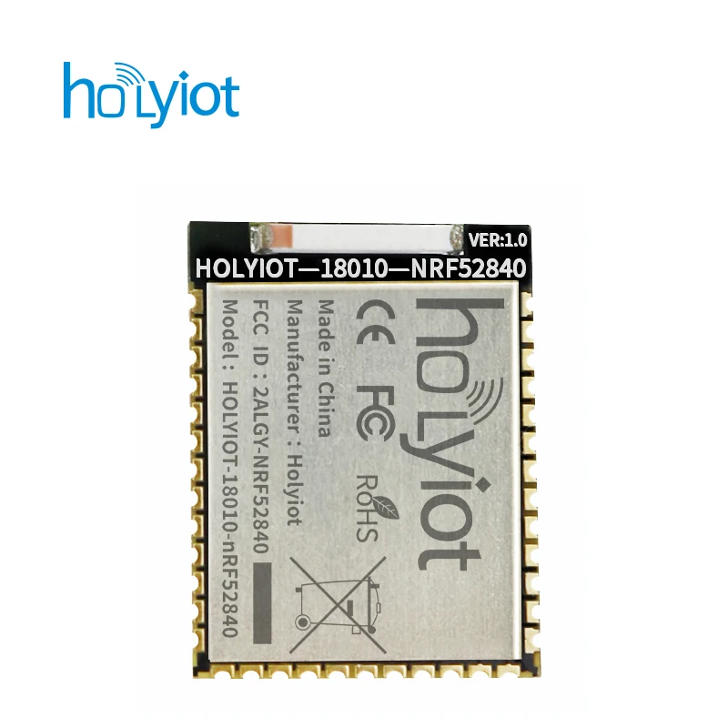 Fcc ce holyiot 18010 nordic nrf52840