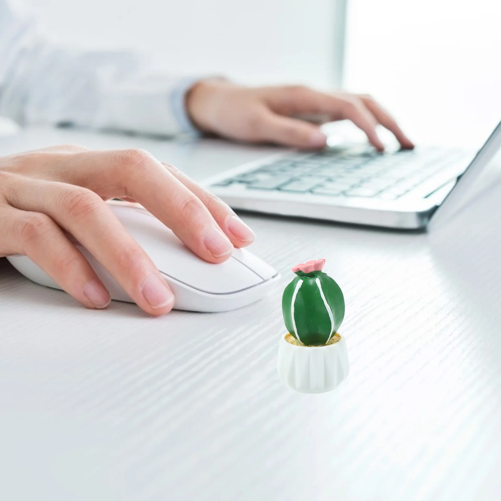 Кактус орнамент кактусы горшечное - Фотография_4