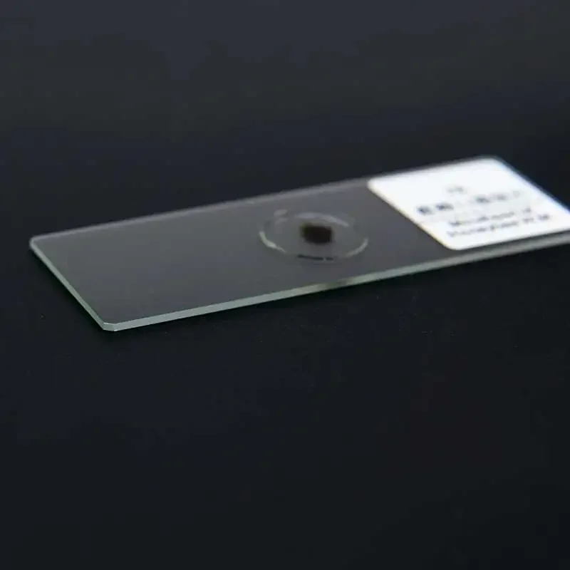 Профессиональные подготовленные секции человеческих тканей - Фотография_3