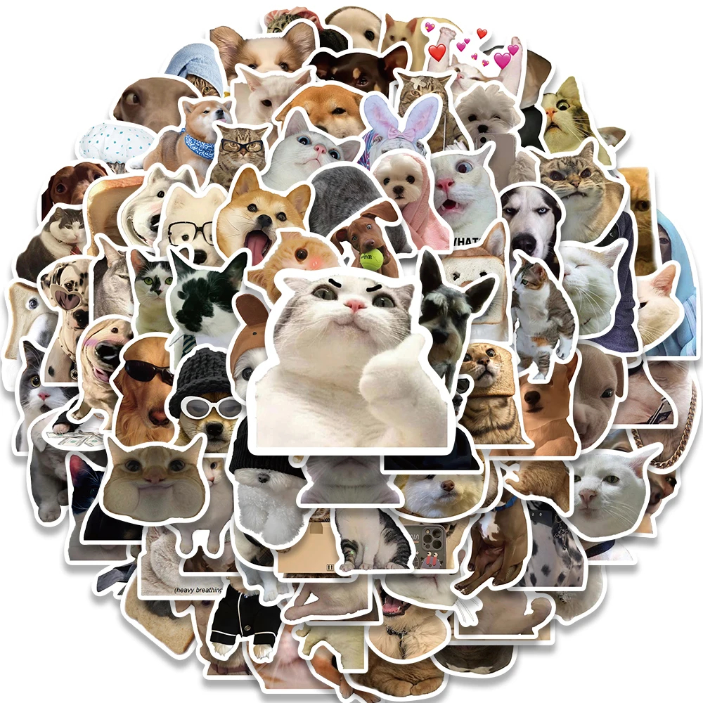 Милая собака кошка мем забавные - Фотография_3